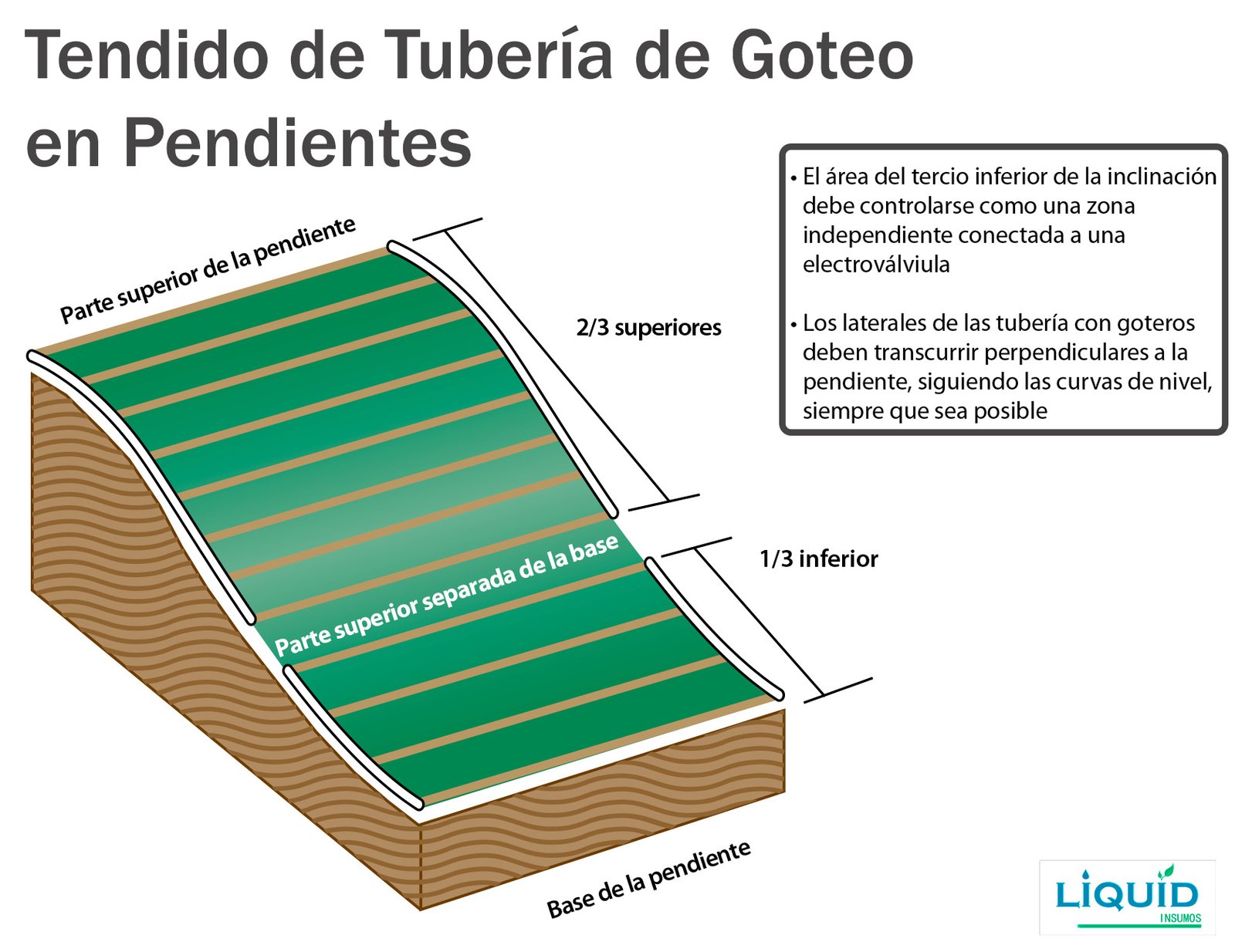 Tubería de goteo subterráneo Rain Bird XFS en funcionamiento